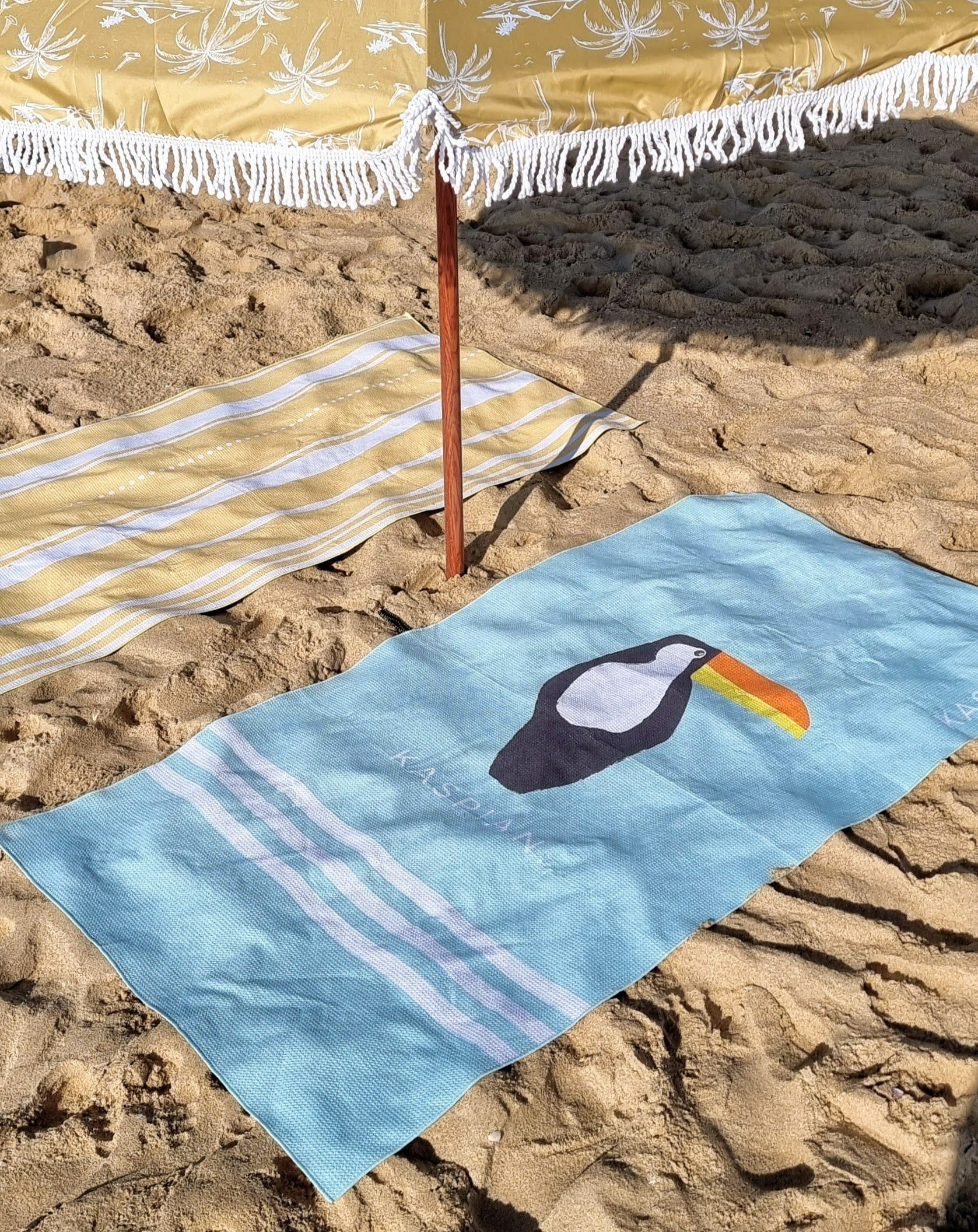 At the beach. Toucan sand free beach towel